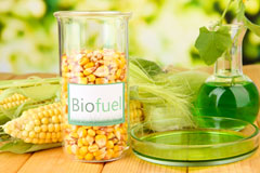 Syston biofuel availability